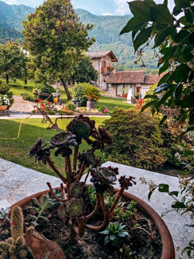 La Volta - Lake Como Heritage Home In Molino Maufet Watermill - Patio On The Garden Colico Eksteriør bilde